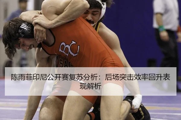 陈雨菲印尼公开赛复苏分析：后场突击效率回升表现解析